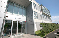 Head Office